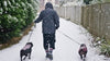 Keeping your four-legged friends safe in the cold weather.