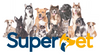 How to Earn and Spend Reward Points with Superpet