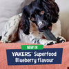 Yakers Dog Chew Blueberry NEW SUPERFOOD!