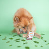 Yakers Dog Chew Mint Flavour