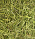 Friendly Timothy ReadiGrass 4 x 1kg - Superpet Limited