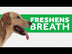 TropiClean Fresh Breath Oral Care Gel For Dogs Berry Fresh 59ml