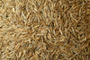 Johnsons Lawn Seed With Rye - 100g, 250g, 500g, 1kg, 2kg, 3kg, 4kg or 5kg Grass - Superpet Limited