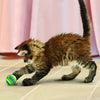 KONG Cat Active Tennis Balls with Bells 3pk - Superpet Limited