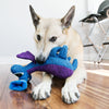 KONG Woozles Blue Medium - Superpet Limited