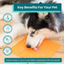 LickiMat Buddy for Dogs Orange Large - Superpet Limited
