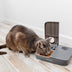 PetSafe Automatic 2 Meal Pet Feeder - Superpet Limited