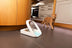SureFeed Microchip Pet Feeder - Superpet Limited