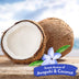 TropiClean Whitening Awapuhi & Coconut Pet Shampoo 355ml - Superpet Limited