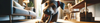 Chew Dog Toys