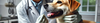 Dogs Anti Plaque Products