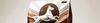 Hepatic Dog Food