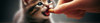 Kitten Treats