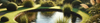 Pond Pumps