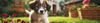 Puppy Joint Care Supplements