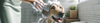 Dog Conditioners