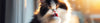 Cat Litter Cleaning Supplies
