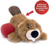 KONG Cozie Pocketz Beaver Medium