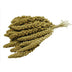 Superpet Premium Yellow Millet Sprays