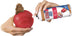 KONG Biscuit Ball Large