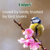 Suet To Go Insect Suet Pellets Tub 3kg - High Energy Wild Bird Food, Protein & Fat, Attracts Robins & Tits
