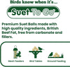 Suet To Go Insect Suet Balls Tray 12x85g - 12 Pack (85g per Suet Ball) - Premium Wild Bird Food