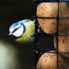 Suet To Go Insect Peckaballs - 3kg Box - Premium Wild Bird Food