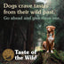 Taste of the Wild Pine Forest With Venison & Legumes 5.6kg