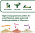 Suet To Go Insect Suet Pellets Tub 3kg - High Energy Wild Bird Food, Protein & Fat, Attracts Robins & Tits