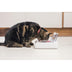 Sure Petcare SureFeed Sealed Pet Bowl for Cats and Small Dogs White