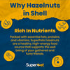 Superpet Premium Hazelnuts in Shells – Natural, Nutritious Treats for Wild Birds and Squirrels