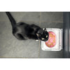 Sure Petcare SureFeed Sealed Pet Bowl for Cats and Small Dogs White
