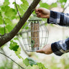 Canto Bird Feeder Holder Metal Garden Small Birds Squirrel Proof (Seed Feeder)