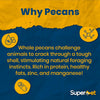 Superpet Premium Pecan Nuts in Shells, Natural Squirrel Food and Parrot Food Enrichment Treat, Unsalted Bird Nuts for Wild Birds and Garden Wildlife Feeding, 0.5kg