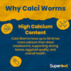Superpet Dried Calci worms Wild Bird Food, High-Calcium Protein Alternative to Bird Seed & Mealworms for Wild Birds, Chickens, Reptiles, Hedgehogs, and Small Mammals
