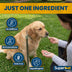 Superpet Dried Sprats Dog Treats, Hypoallergenic Natural Dog Treats, 100% Dried Sprats, High in Protein & Omega 3 Fish Oil, Grain Free Treats for Dogs, Cats, Puppies & Kittens