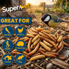 Superpet Dried Mealworms and Calci Worms 50/50 Mix for Wild Birds, High-Protein High-Calcium Bird Food for Robins, Blackbirds, Hedgehogs, Chickens and Fish