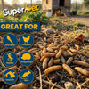 Superpet Dried Calci worms Wild Bird Food, High-Calcium Protein Alternative to Bird Seed & Mealworms for Wild Birds, Chickens, Reptiles, Hedgehogs, and Small Mammals