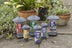 Gardman A01172 Black Steel Wild Bird Seed Feeder, 17.5 x 18 x 3.5 cm
