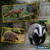 Superpet Super Premium Fox Badger And Hedgehog Food