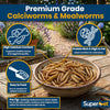 Superpet Dried Mealworms and Calci Worms 50/50 Mix for Wild Birds, High-Protein High-Calcium Bird Food for Robins, Blackbirds, Hedgehogs, Chickens and Fish