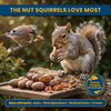 Superpet Premium Pecan Nuts in Shells, Natural Squirrel Food and Parrot Food Enrichment Treat, Unsalted Bird Nuts for Wild Birds and Garden Wildlife Feeding, 0.5kg