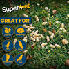 Superpet Monkey Nuts in Peanut Shells – Natural Treats for Wild Birds and Squirrels