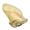 Superpet Natural For Dogs Ears
