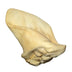 Superpet Natural For Dogs Ears