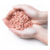 Suet to Go Premium Pellets Various Sizes And Flavours For Birds