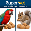 Superpet Premium Whole Walnuts In Shell For Parrots And Squirrels Natural Unsalted High Energy Enrichment  Bulk Bag