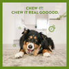 Whimzees Antler (Occupy) Dental Treat For Dogs