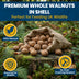 Superpet Premium Walnuts in Shell, Squirrel and Parrot Food, High-Energy Natural Unsalted Nuts, Bird Food for Garden Wildlife, Enrichment Whole Nuts in Shells