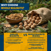 Superpet Premium Walnuts in Shell, Squirrel and Parrot Food, High-Energy Natural Unsalted Nuts, Bird Food for Garden Wildlife, Enrichment Whole Nuts in Shells